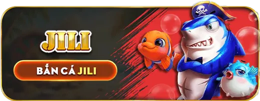 Giấy phép hoạt động và tuân thủ quy định pháp lý của C8BET